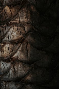 Close-up of rough, scaly brown tree bark texture creating a natural abstract background.