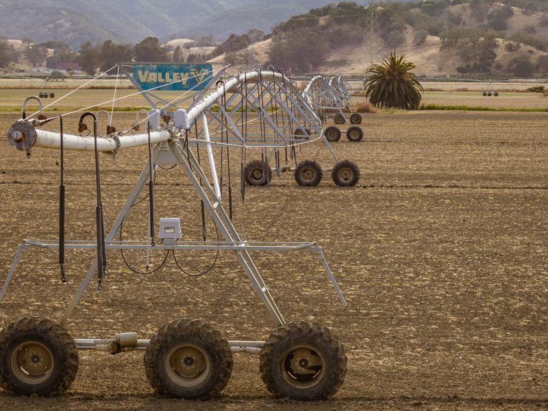 Sistema de aspersores en campo de cultivo Alicante