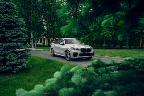 Photos gratuites de arbres, automobile, bmw x5