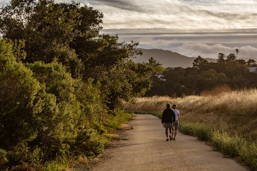 2 Person Walking on the Road Beside Green Trees