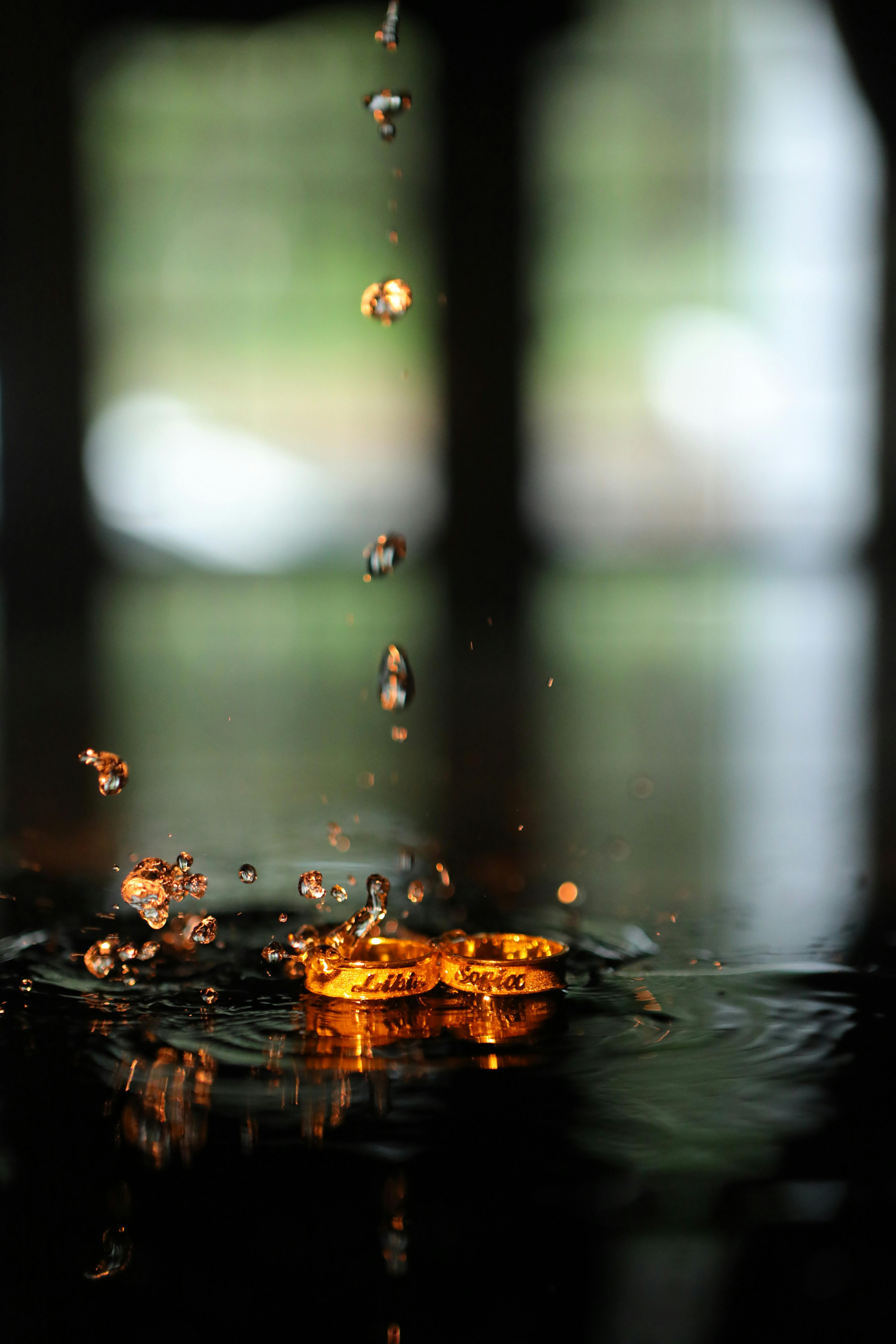 selective focus photography of two gold rings