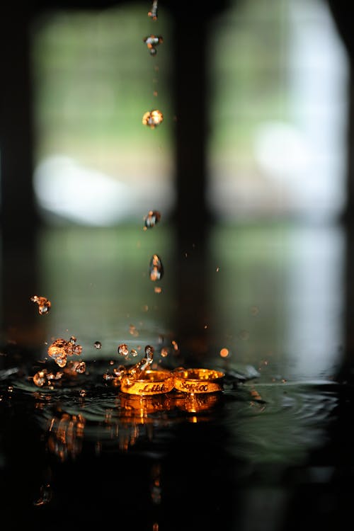 Selective Focus Photography of Two Gold Rings