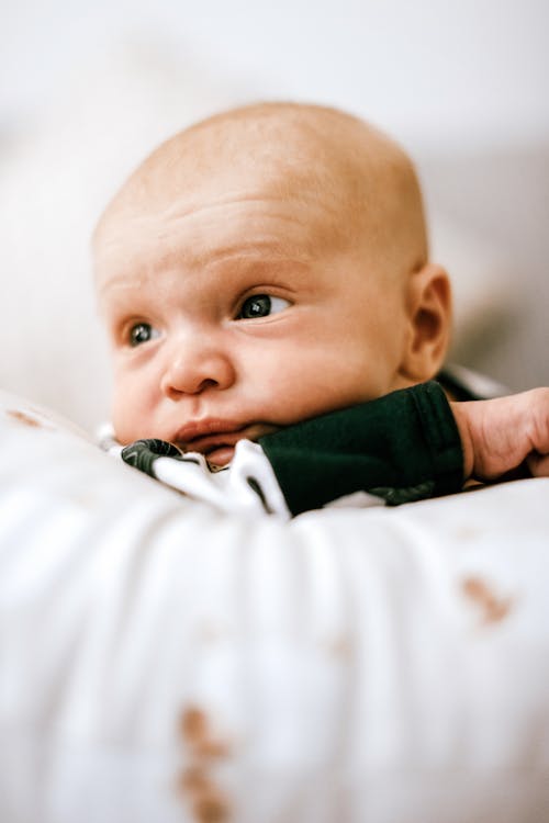 Free Portrait of a Newborn Baby  Stock Photo