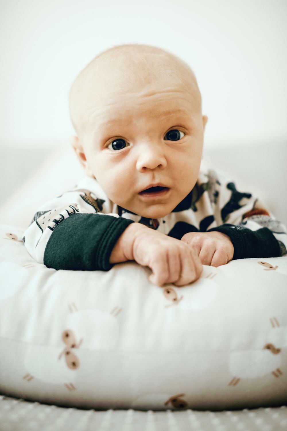 Newborn baby portrait in soft indoor light