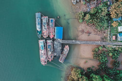 Бесплатное стоковое фото с берег, вода, деревянные лодки