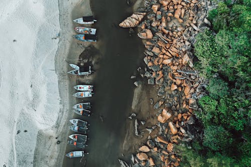 Darmowe zdjęcie z galerii z brzeg rzeki, drzewa, fotografia lotnicza