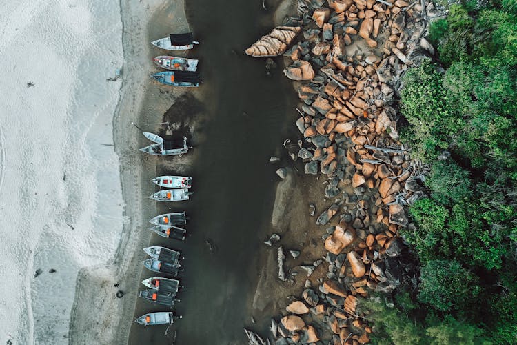 Boats Moored On Riverbank