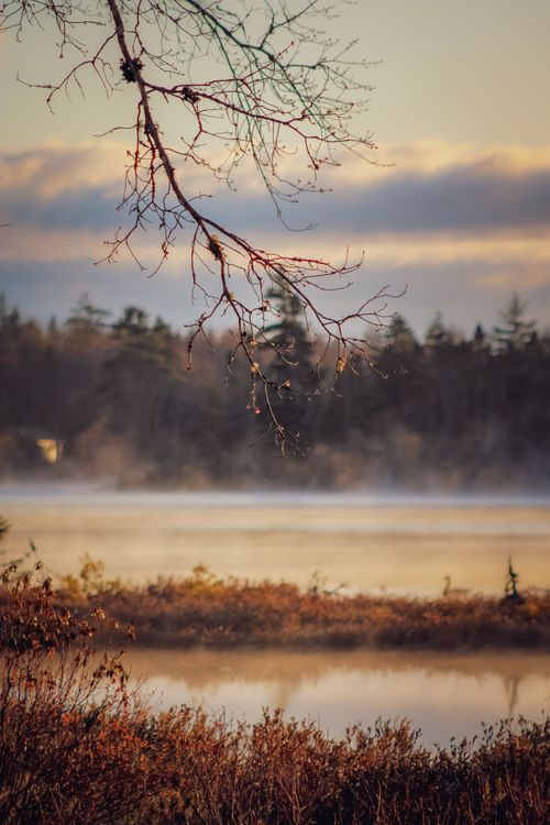 Free Capture the peaceful ambiance of Canada's natural beauty with a misty lake at sunrise. Stock Photo