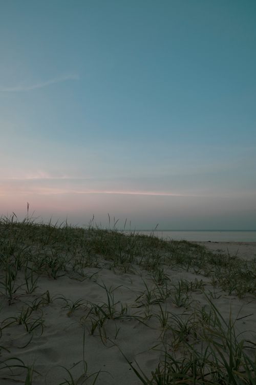 Free Captivating view of a tranquil beach at dusk, featuring grassy sand dunes under a pastel sky. Stock Photo