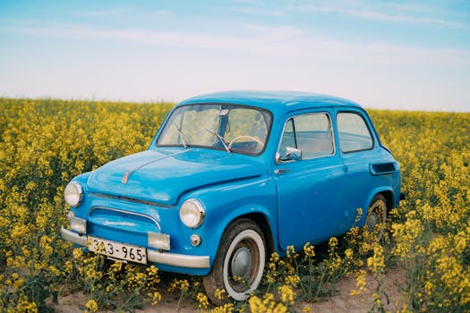 Classic blue car parked in a vibrant yellow flower field with a clear blue sky and white clouds.
