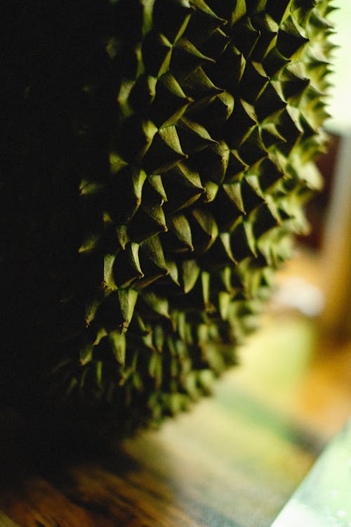 Close-up of a Durian