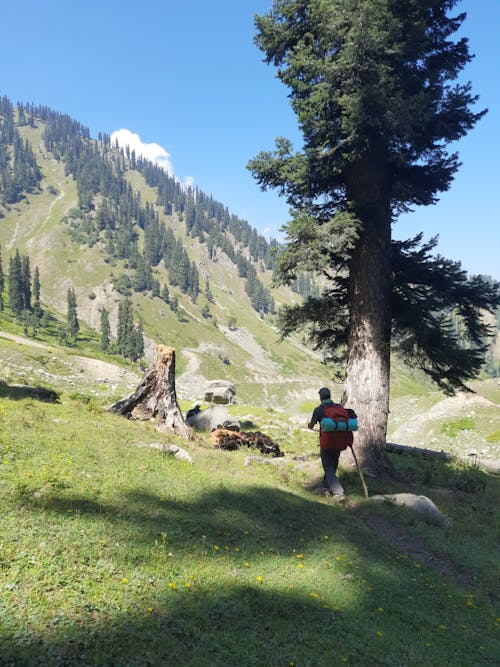 A Hiker Hiking a Mountain