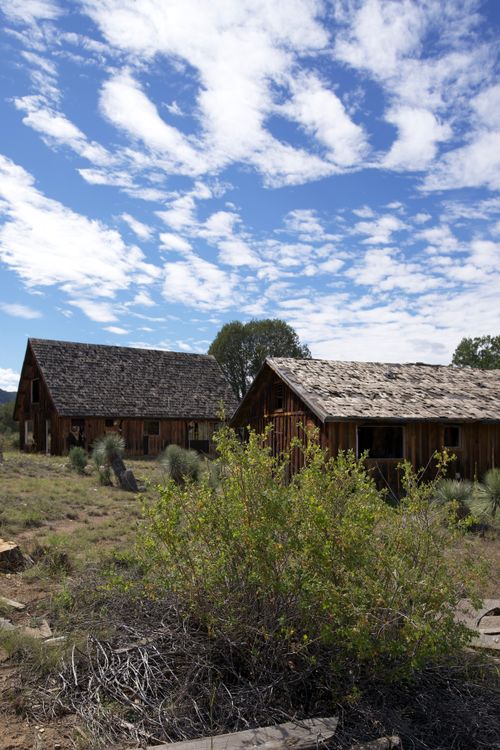 Two wooden houses with pitched roofs among trees and brush in rural Arizona