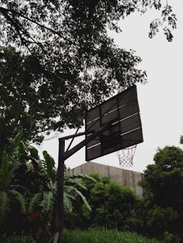 Low angle shot of a worn basketball hoop amidst dense greenery, perfect for sports-related content.