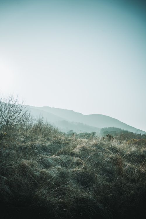 Free A serene view of rolling hills in Ireland under a misty sky, capturing nature's tranquility. Stock Photo