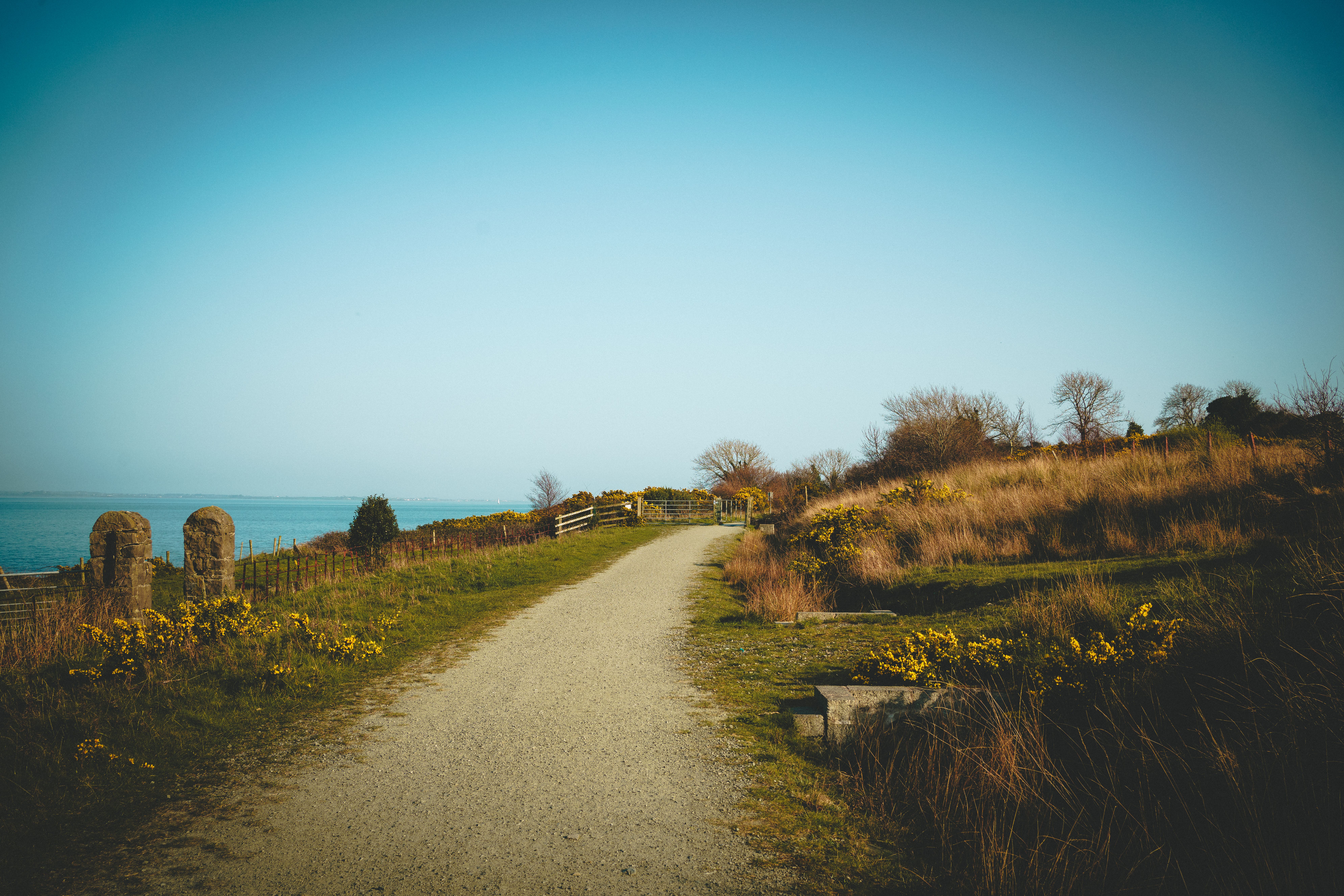 An Unpaved Pathway near Body of Water · Free Stock Photo