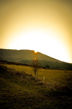 Beautiful sunrise casting warm glow over a serene grass field and mountain landscape.