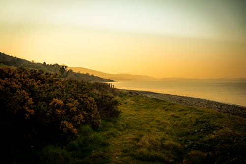 Scenic View of the Shore during Sunset