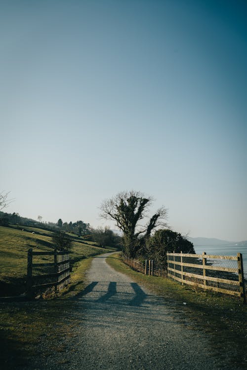 Foto d'estoc gratuïta de buit, camí de carro, cel blau