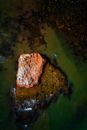 Great sea Images
