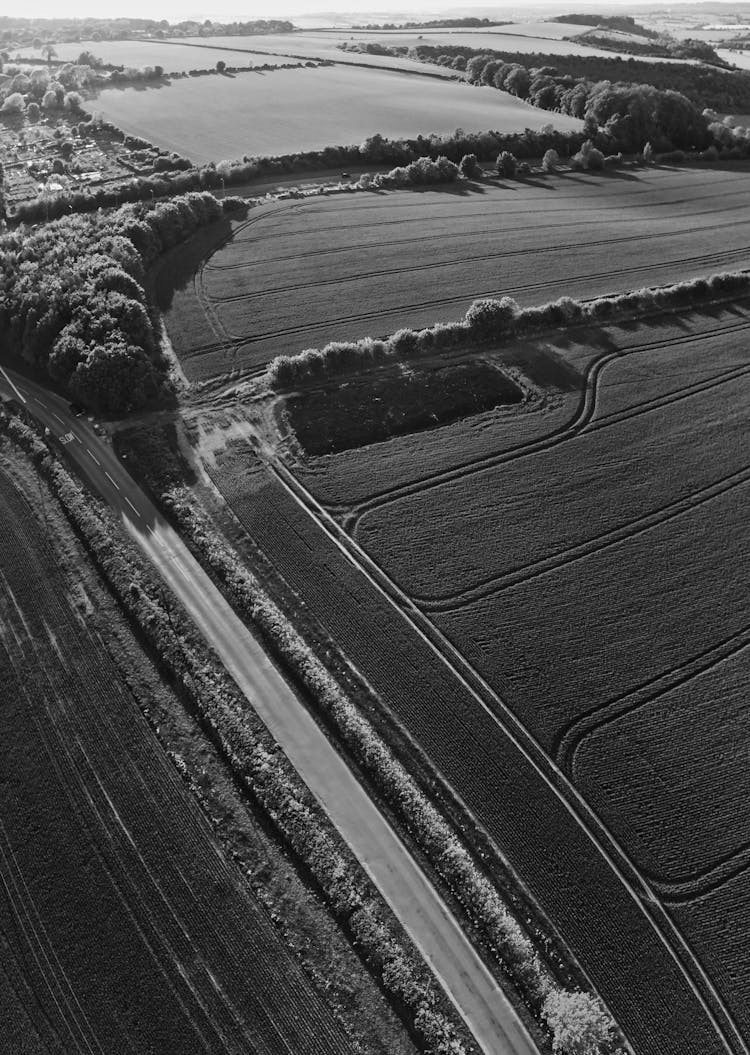 Birds Eye View Of A Countryside In England