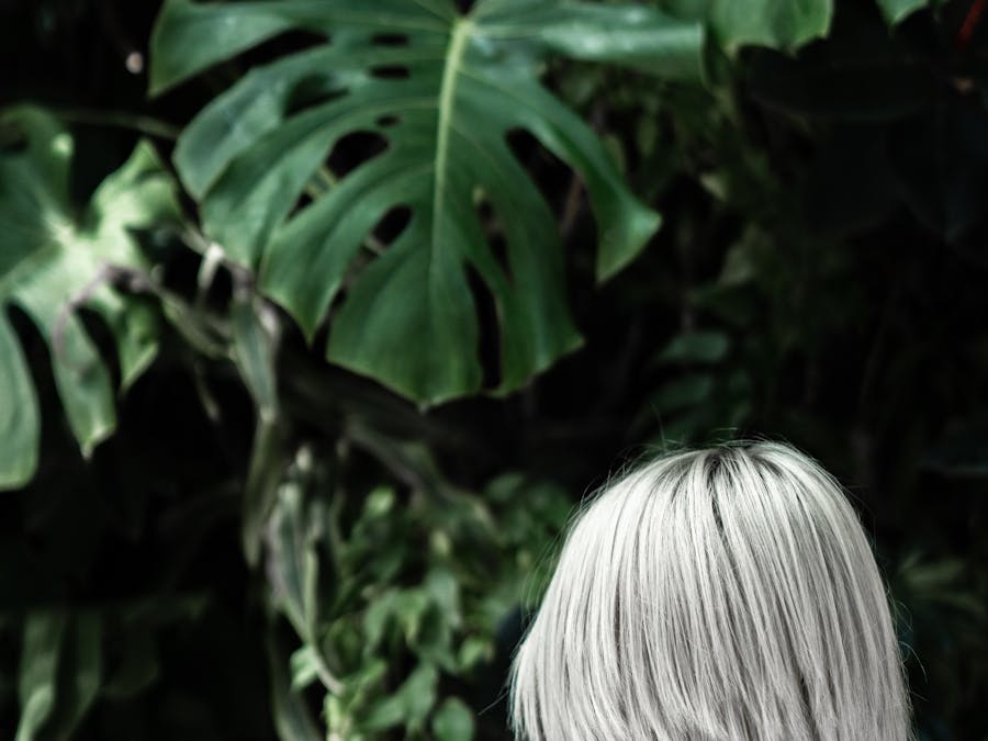 How to accelerate hair growth?