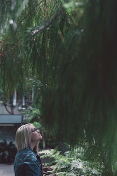Woman Wearing Eyeglasses Staring at Pine Tree