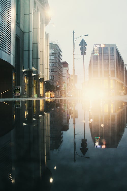 Buildings Reflections