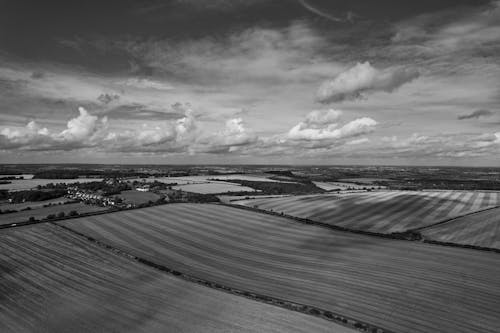 Monochrome Shot of an Agricultural Field