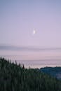 挪威的宁静暮色中，松树林上空悬挂着新月