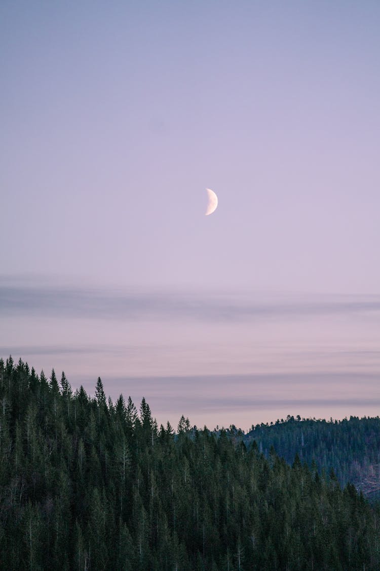 Moon Above Forest Mountain Landscape