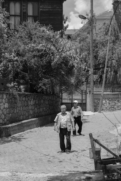 Základová fotografie zdarma na téma betonová dlažba, černý a bílý, fotografie ve stupních šedi