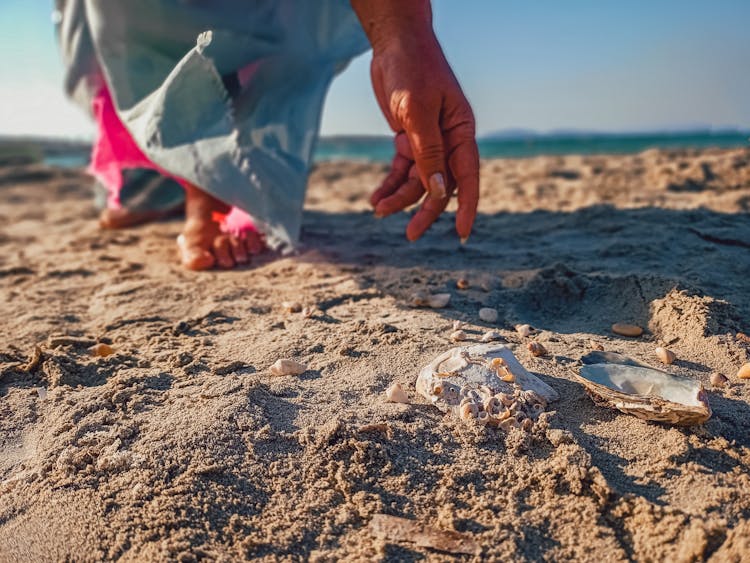 A Person Collecting Seashells O The Beach Shore