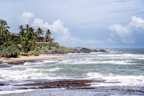 Waves crashing on a Shore 