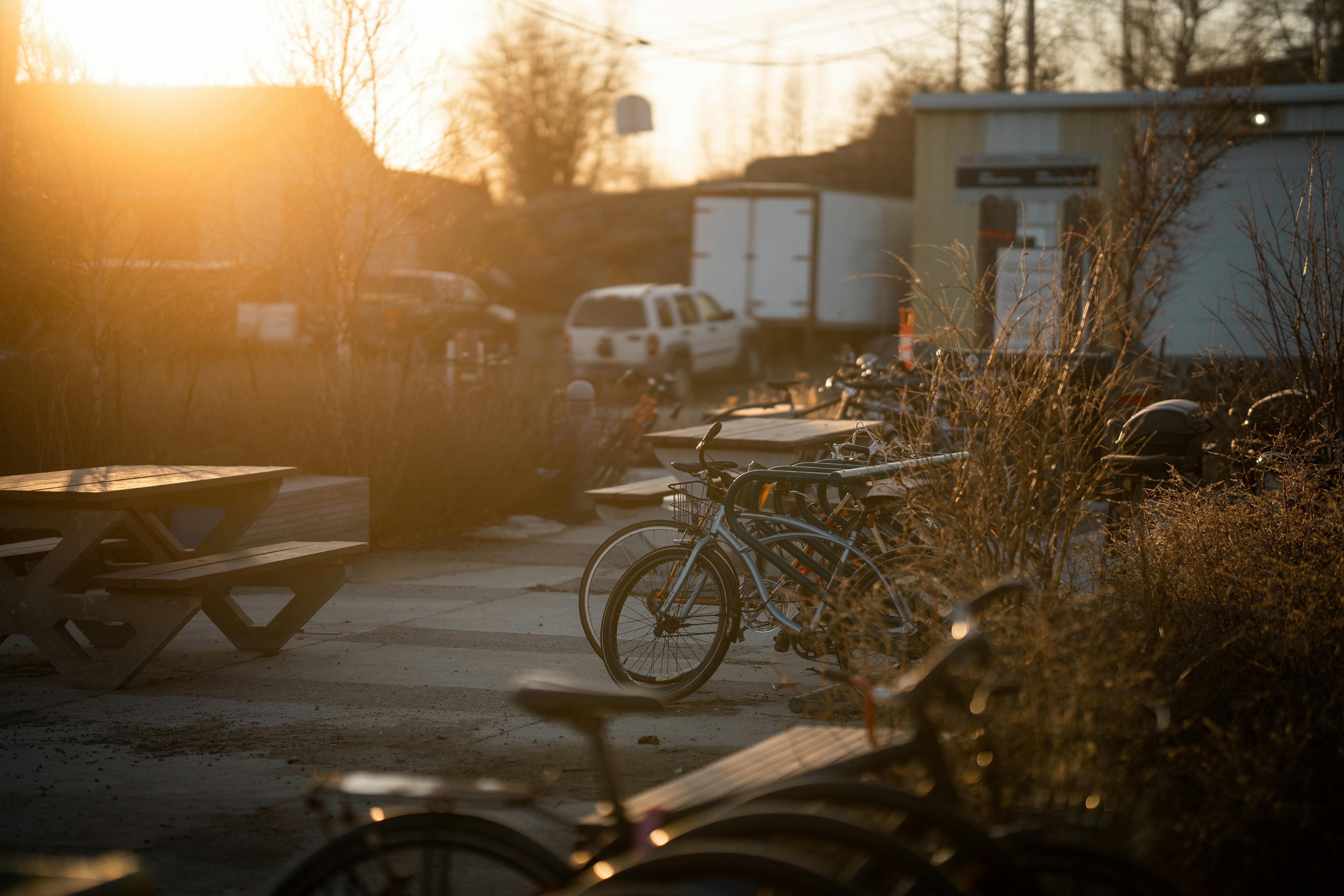 Partnership and grants bring outdoor fitness court and digital wellness to Trenton — Photo by Blake Moulton on Pexels