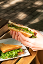 Lunched Images