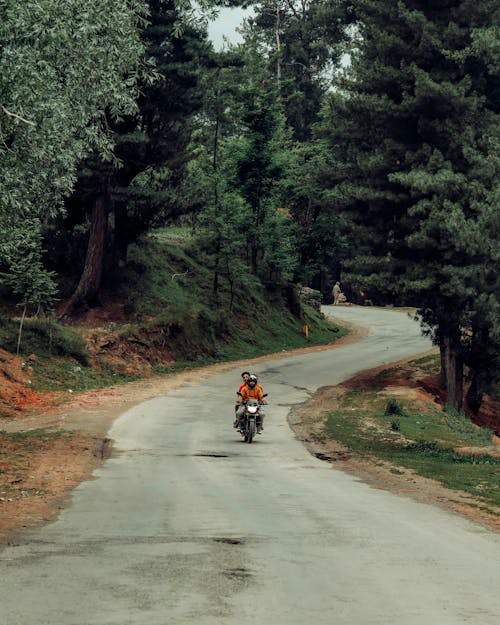 People riding a Motorcycle on Road between Trees 