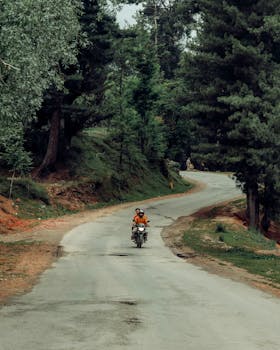 Motorcyclist travels a scenic forest road, surrounded by lush greenery and trees.