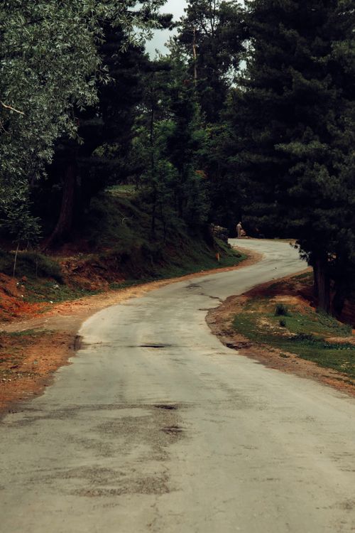 Free A scenic winding road through lush Yousmarg forest, ideal for travel and nature imagery. Stock Photo