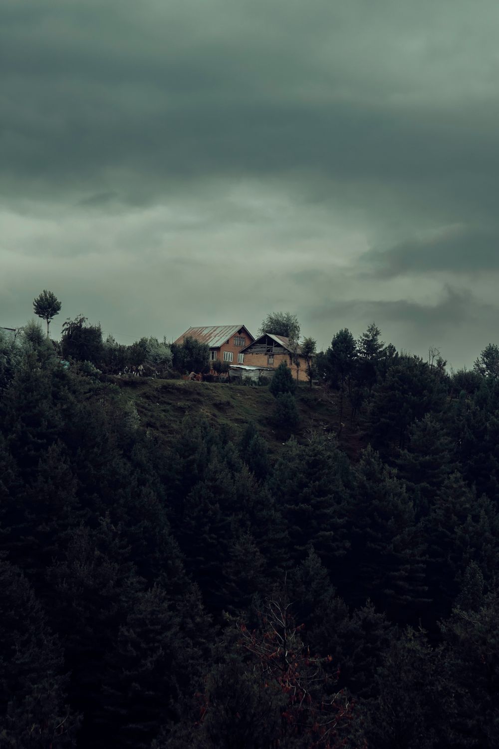 A House Near the Green Trees Under the Dark Sky · Free Stock Photo
