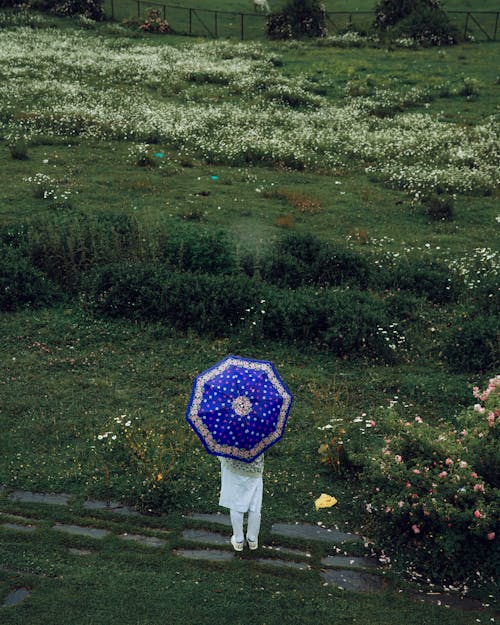 Person using a Violet Umbrella 