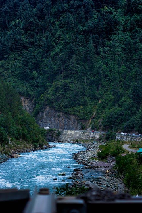 A River Between Green Trees