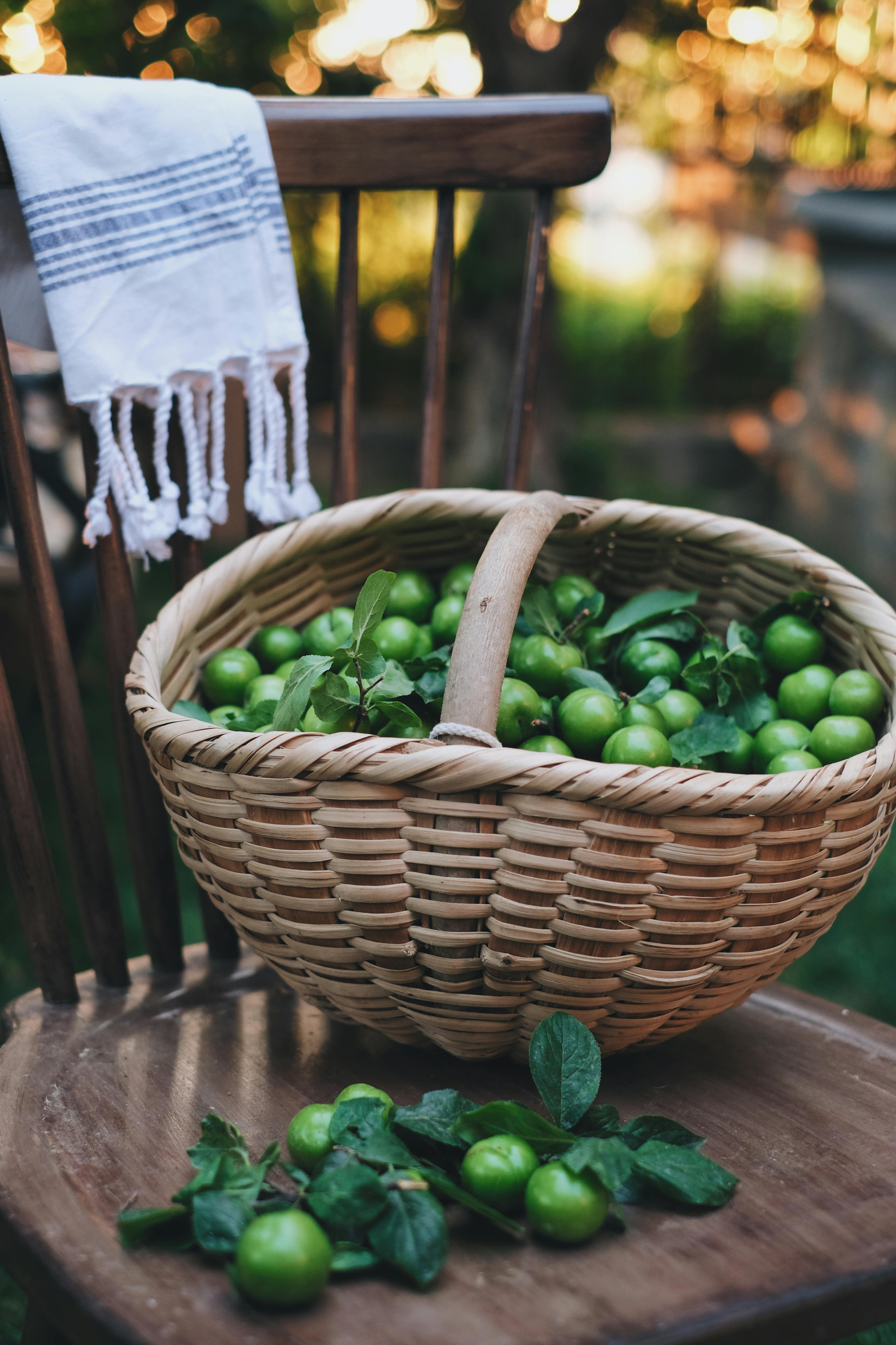 A woven basket brimming with fresh green limes sitting on a wooden chair in a sunny garden.