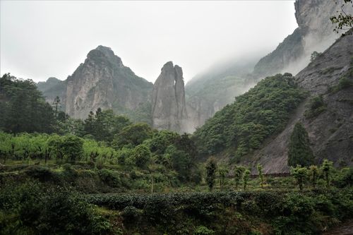 Free Foggy mountain scenery with green trees and rock formations, creating a serene natural landscape. Stock Photo