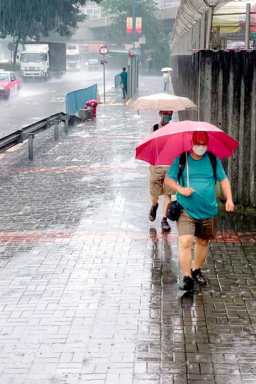 Free People Walking on the Sidewalk While Raining  Stock Photo