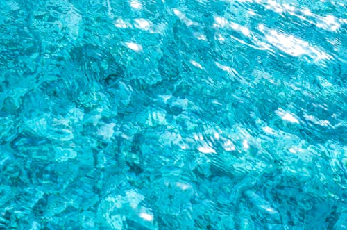Kostenloses Stock Foto zu blaues wasser, pool, schwimmen