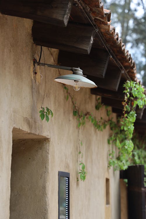 Foto d'estoc gratuïta de bombeta, casa, clareja