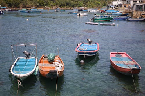 Kostnadsfria Kostnadsfri bild av båtar, fiske, flytande Stock foto