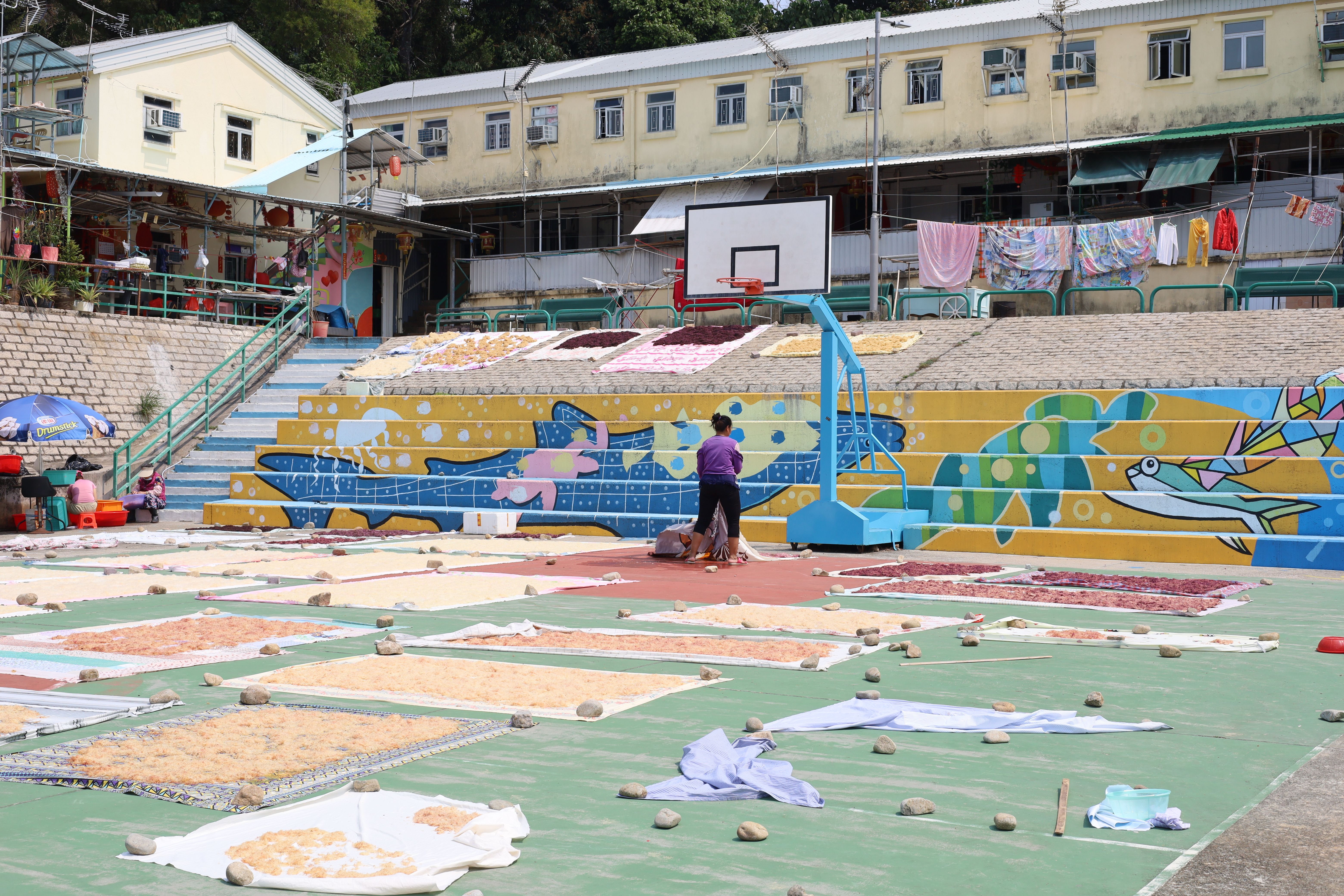Hong Kong jockeys preparing thoroughbred horses near Sha Tin paddock
