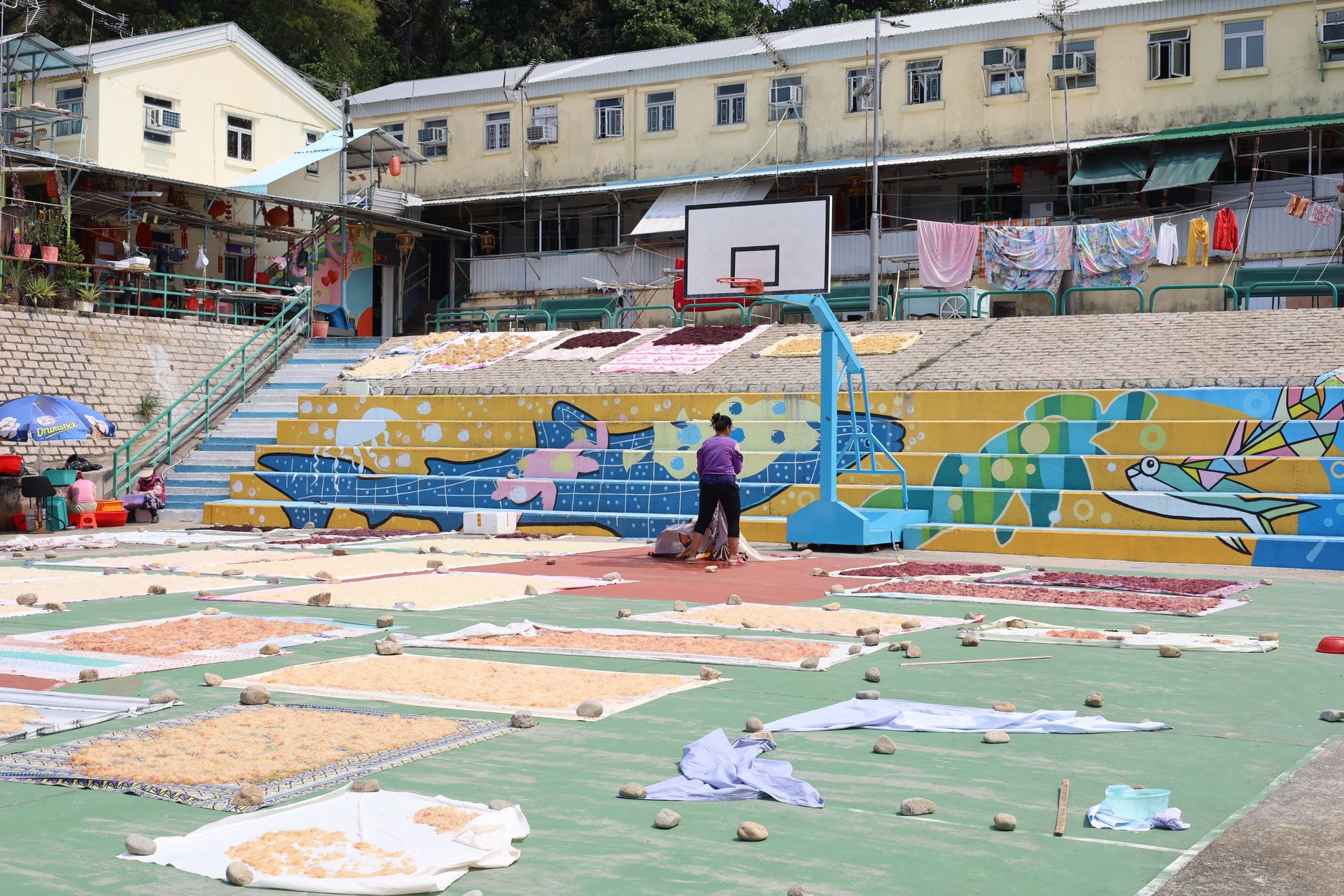 Hong Kong jockeys preparing thoroughbred horses near Sha Tin paddock